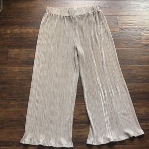Anthropologie Dolan Pleated Pants in Taupe | Medium | Pleated Pants | Anthro